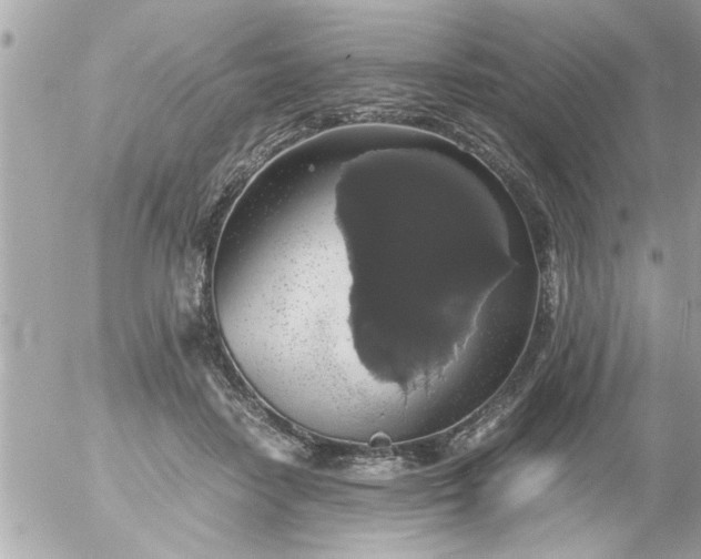 X0000055510458200508262144