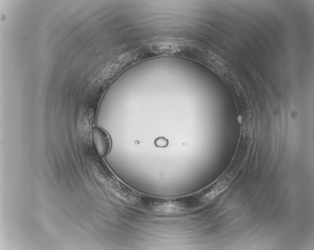 X0000055510460200508262144