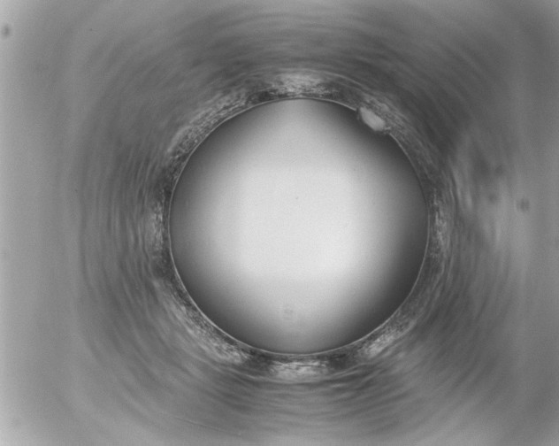 X0000055510461200508262145