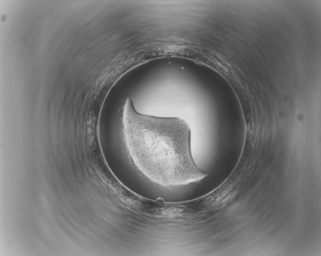 X0000055510462200508262145