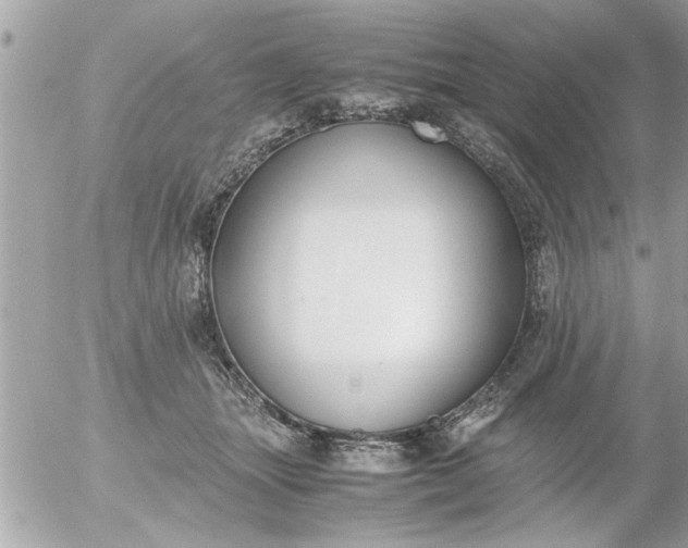 X0000055510463200508262145