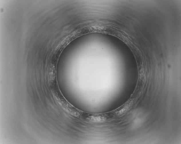 X0000055510464200508262145