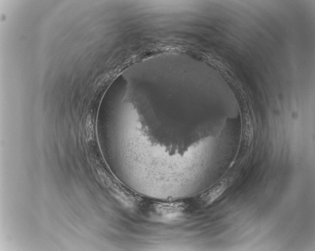 X0000055510465200508262145