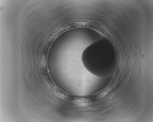 X0000055510467200508262145