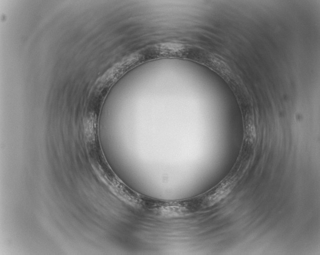 X0000055510468200508262145