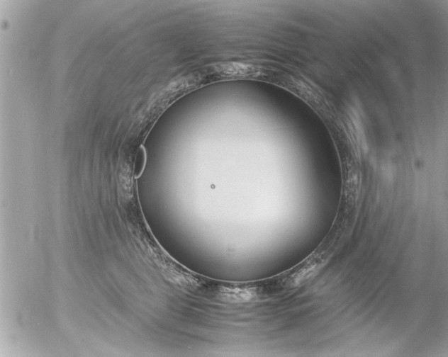 X0000055510469200508262145