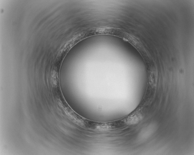 X0000055510470200508262145