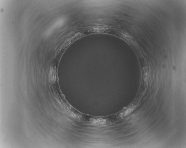 X0000055510471200508262145