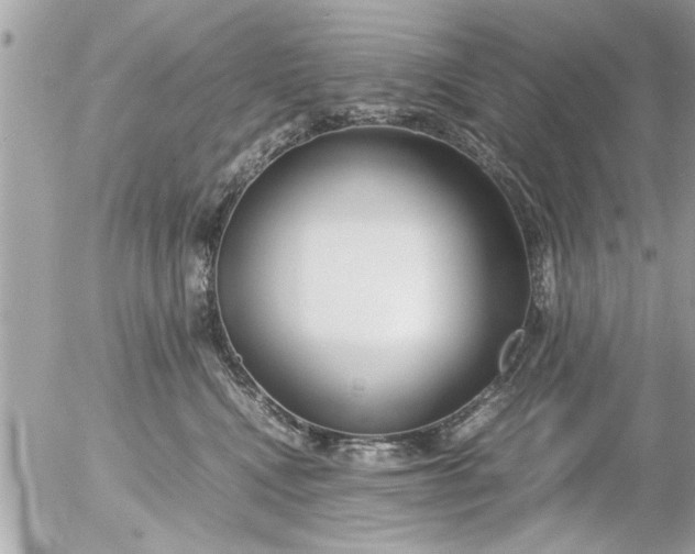 X0000055510472200508262145