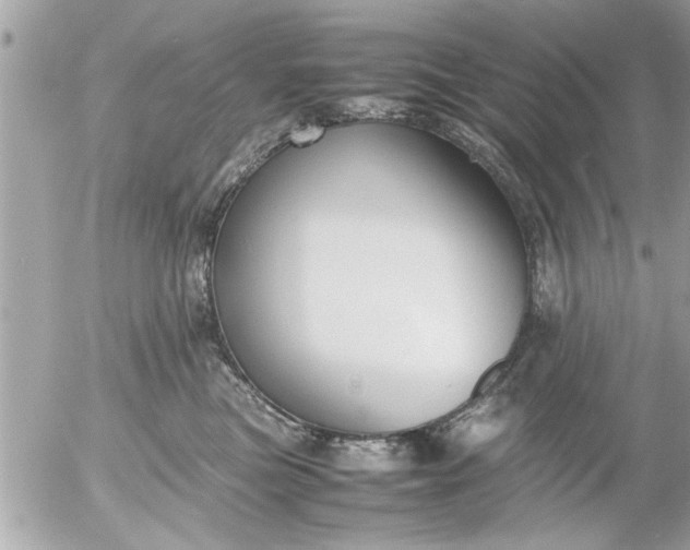 X0000055510473200508262145