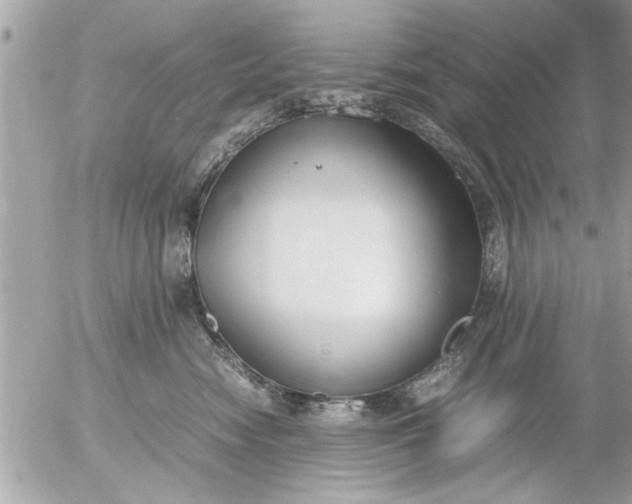 X0000055510474200508262145