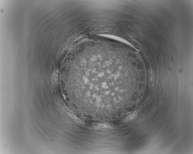 X0000055510475200508262145