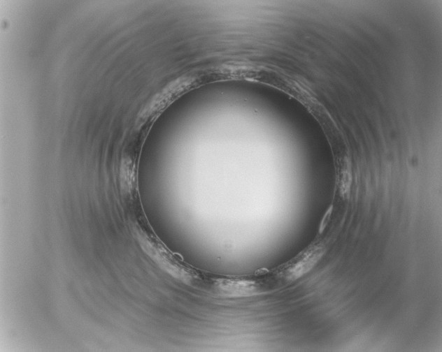 X0000055510476200508262145