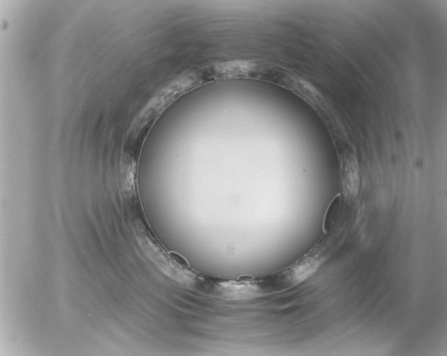 X0000055510477200508262145