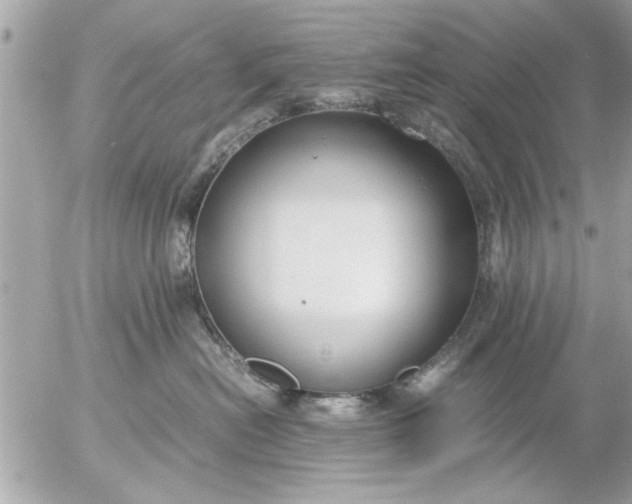 X0000055510478200508262145