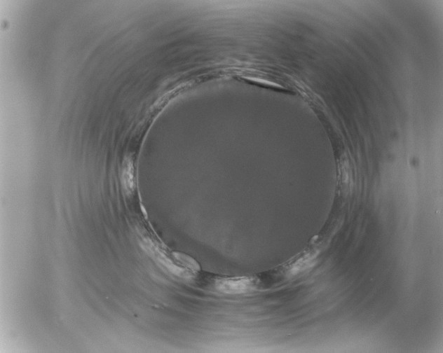 X0000055510479200508262145