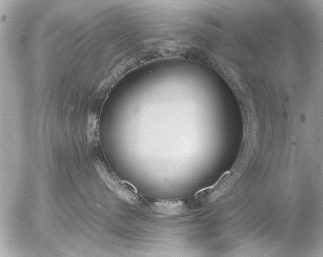 X0000055510480200508262145