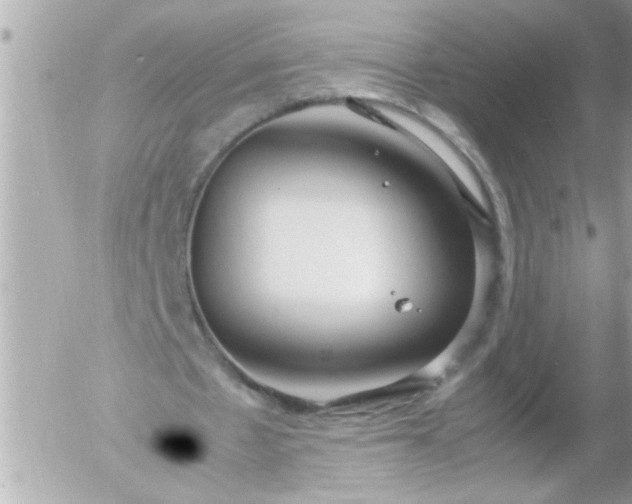 X0000055510481200508262144