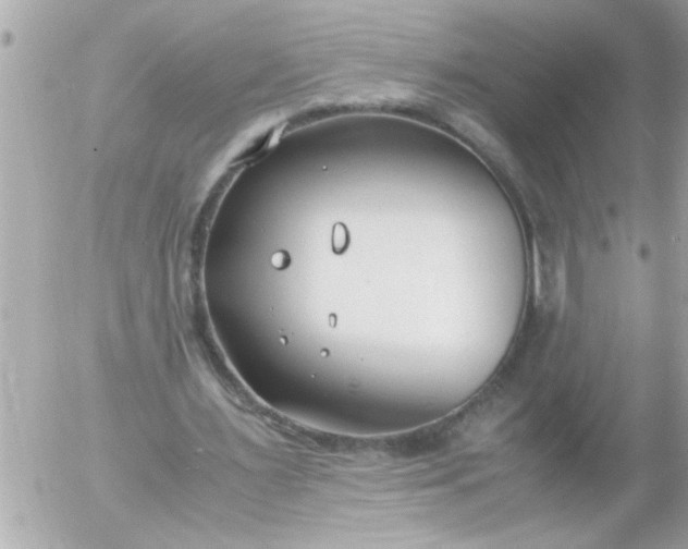 X0000055510483200508262144