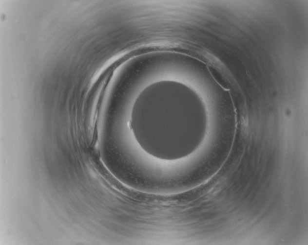 X0000055510484200508262144