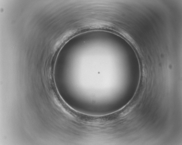 X0000055510485200508262144