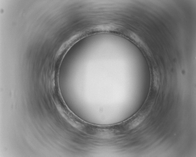 X0000055510486200508262144