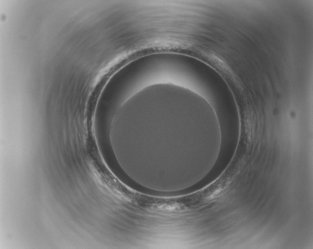 X0000055510488200508262144