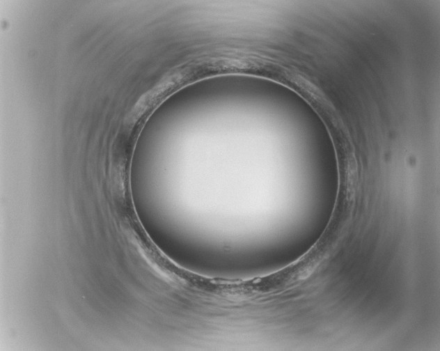 X0000055510489200508262144