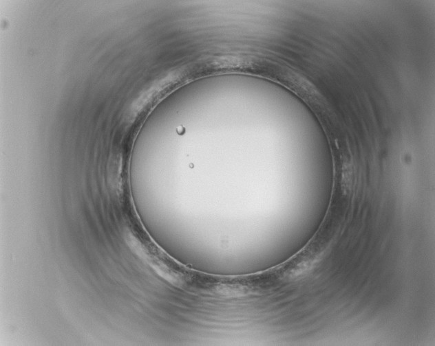 X0000055510490200508262144