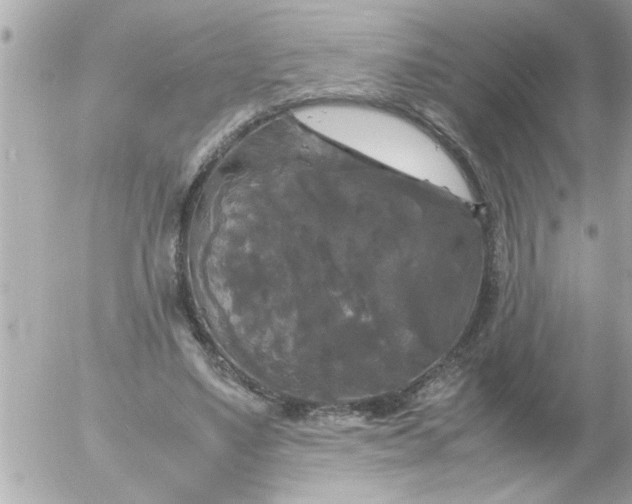 X0000055510491200508262144