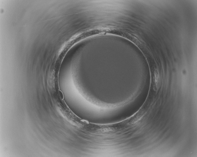 X0000055510492200508262144