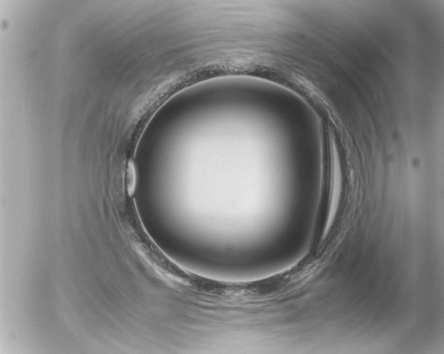 X0000055510493200508262144