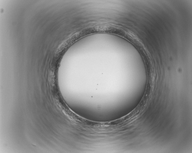 X0000055510497200508262144