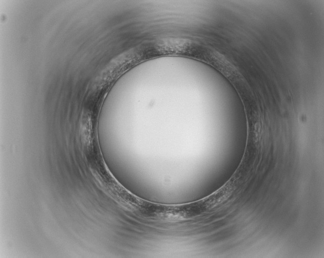 X0000055510498200508262144