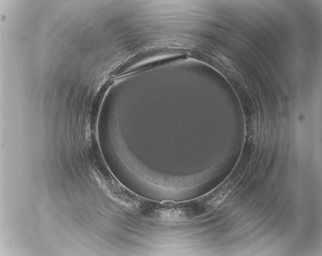 X0000055510500200508262144