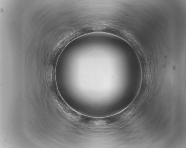 X0000055510501200508262144