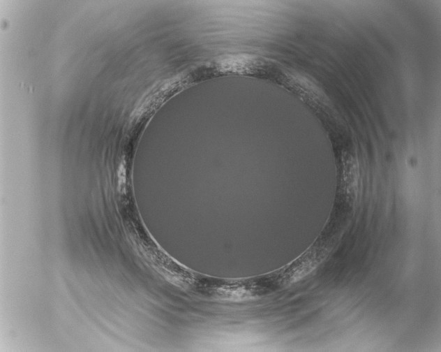 X0000055510502200508262144