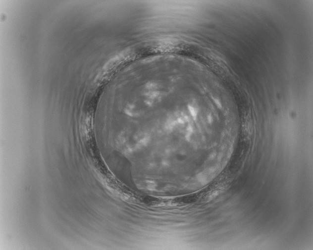 X0000055510503200508262144