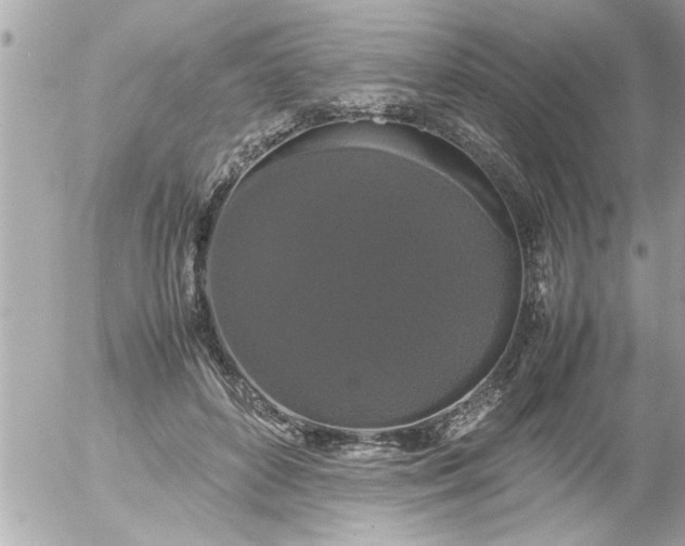 X0000055510504200508262144