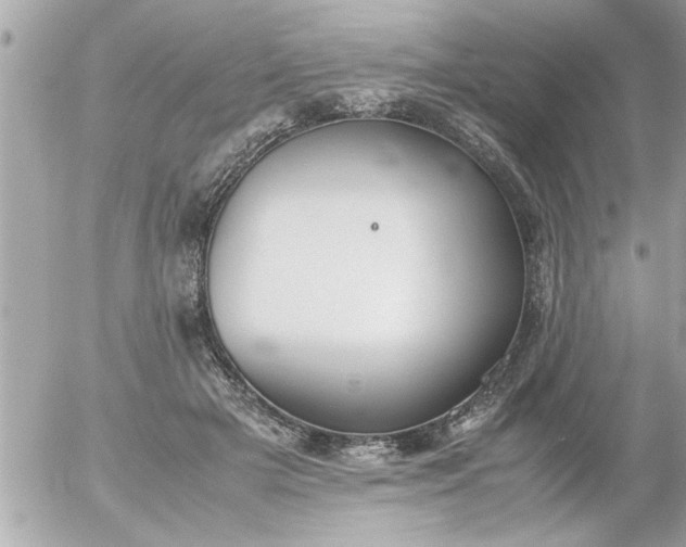 X0000055510505200508262144