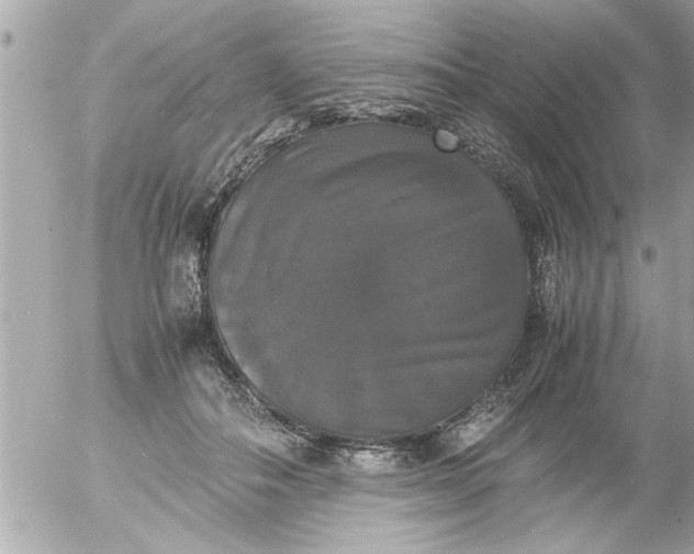 X0000055510506200508262144