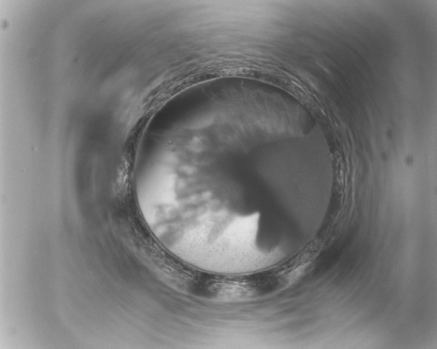 X0000055510507200508262144