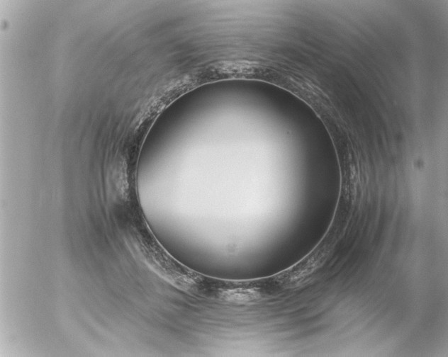 X0000055510508200508262144