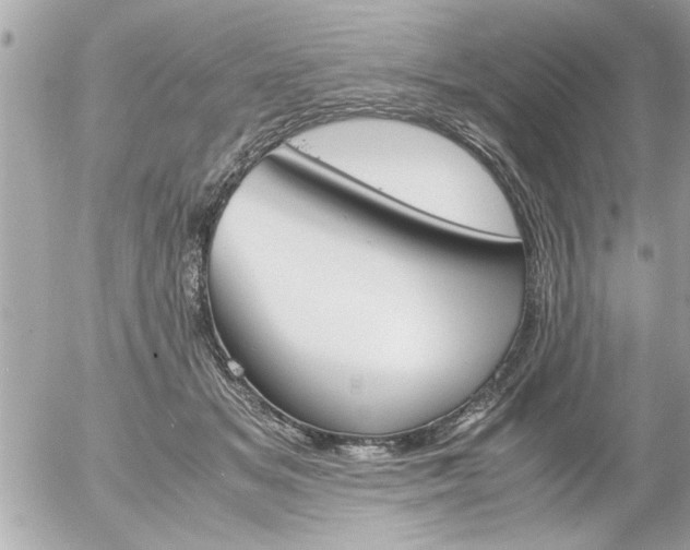 X0000055510509200508262144