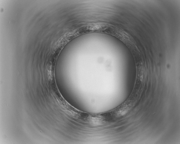 X0000055510510200508262144