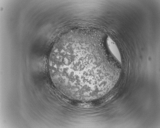 X0000055510511200508262144