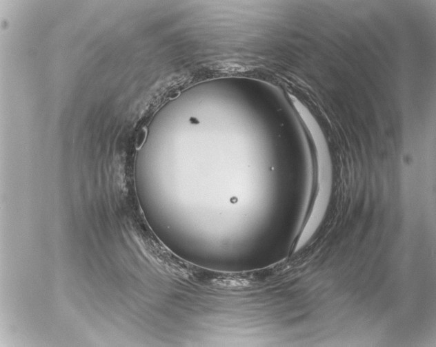 X0000055510512200508262144