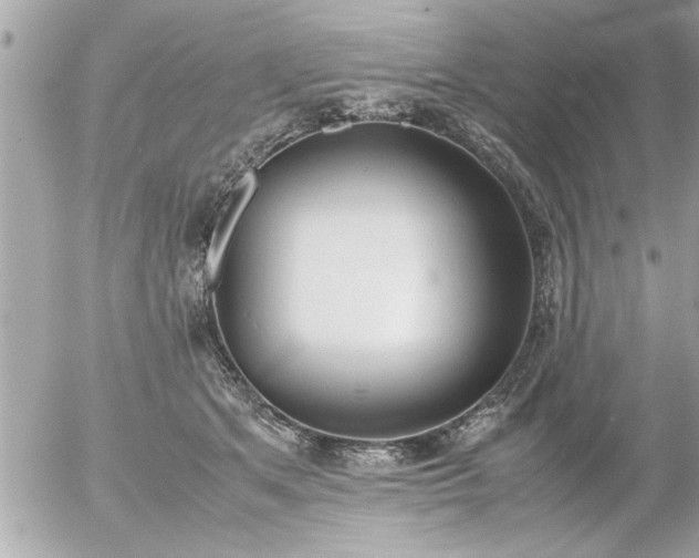 X0000055510513200508262144