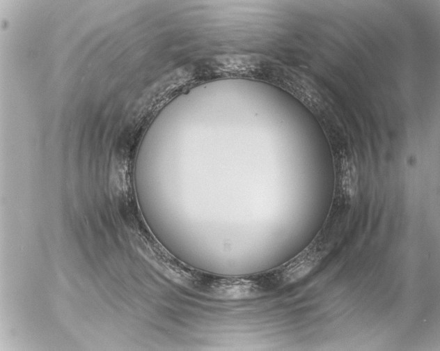 X0000055510514200508262143