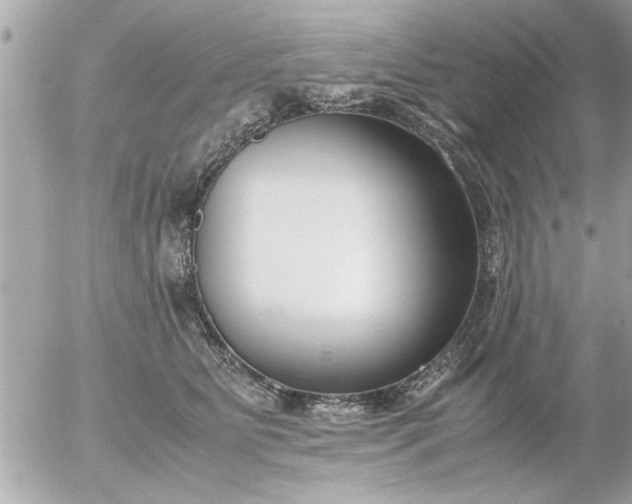 X0000055510515200508262143